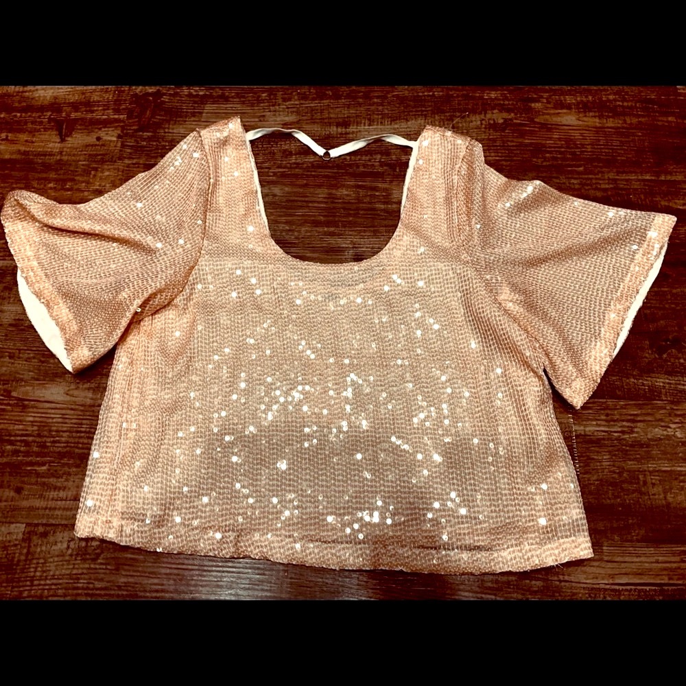 Free People Sequined Blush Top